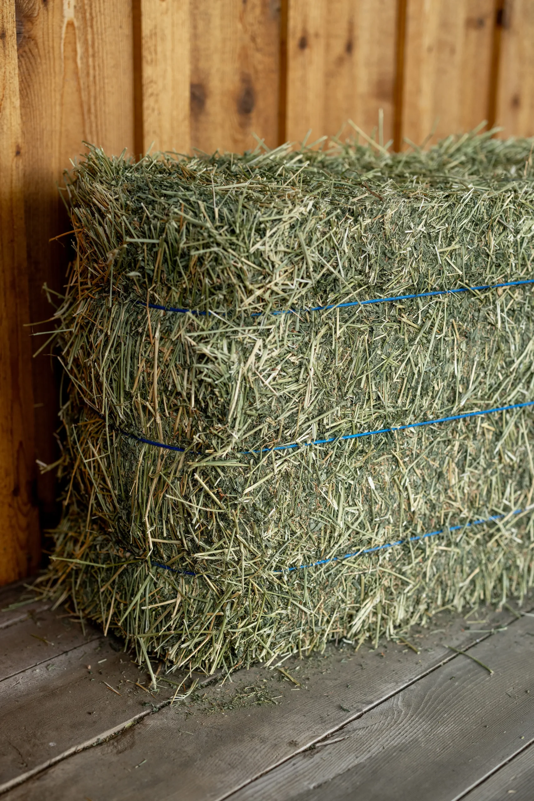 Premium Quality 3-Tie Bales of Hay For Sale