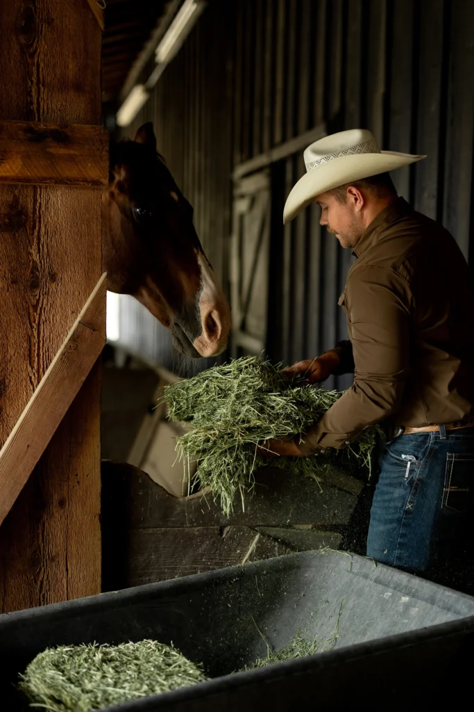 Alpha hay farm llc buy hay for sale near me