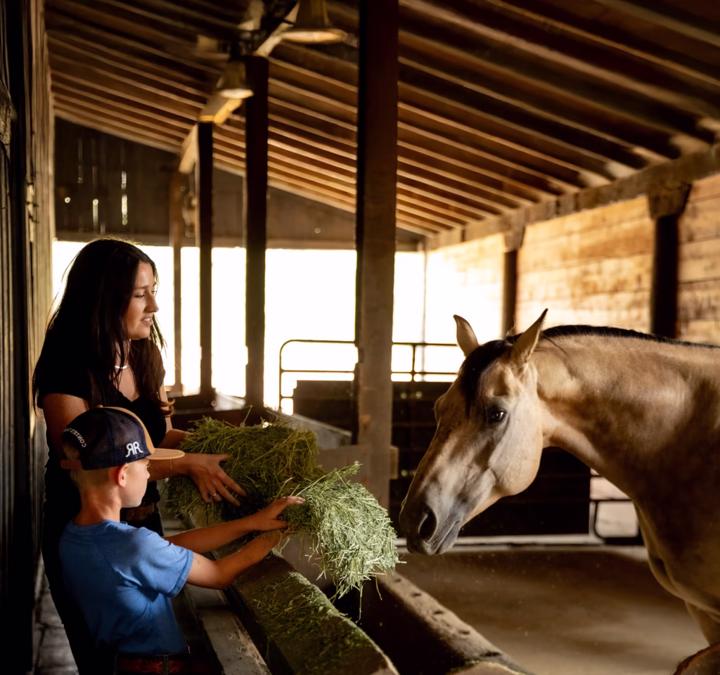 Alpha hay farm cover