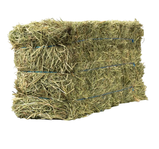 Buy the best quality and well packed 3-tie bales of hay