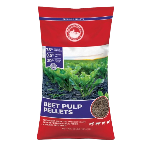 Buy the best selling bagged hay pellets in hay farming