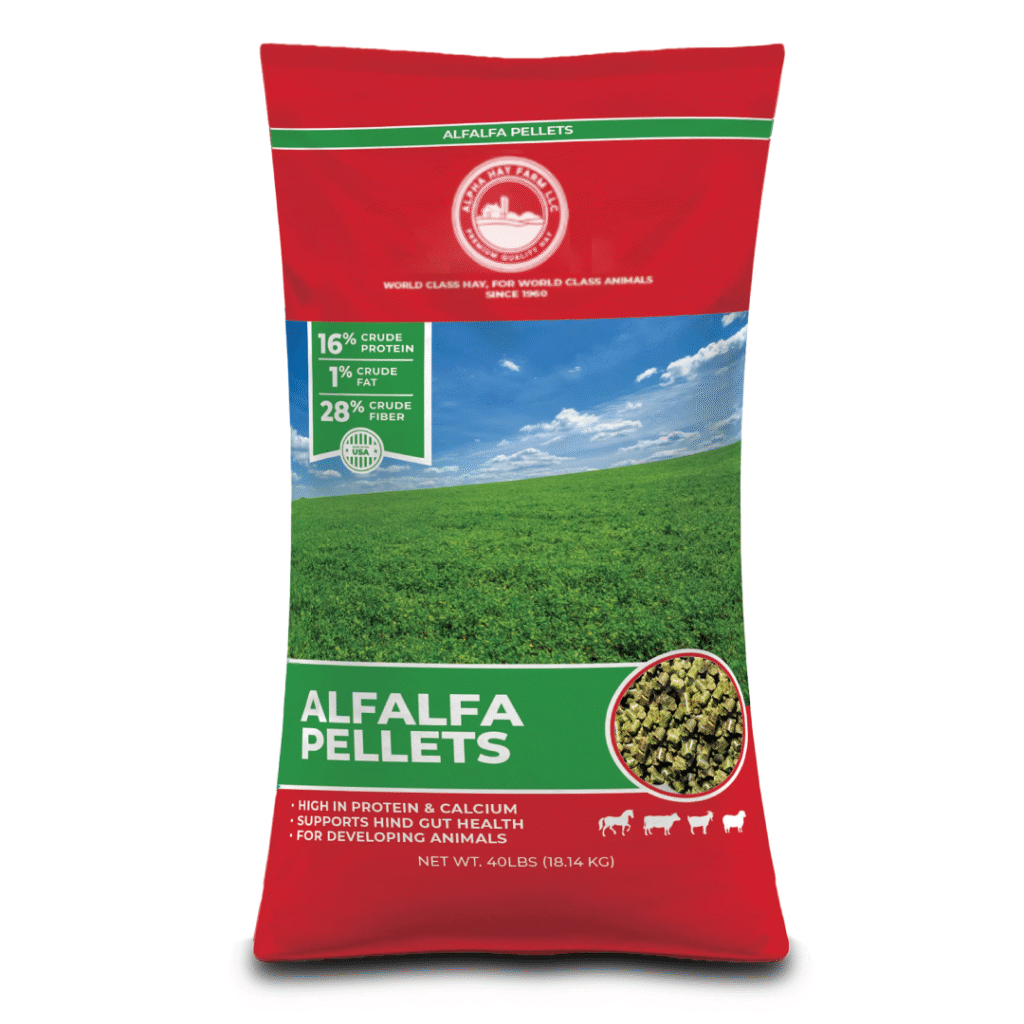 Buy 40 LB BAG OF ALPHA ALFALFA PELLETS near me