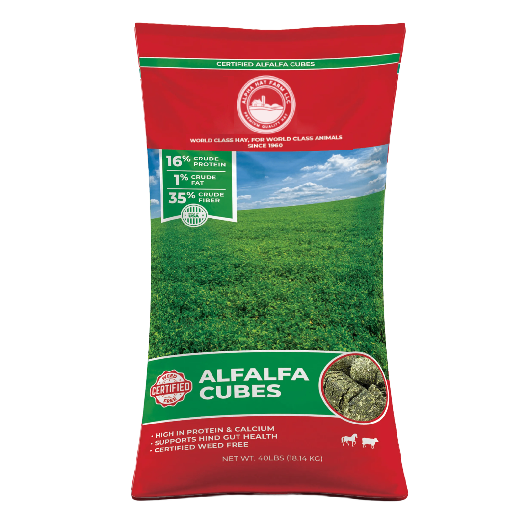 buy alfalfa premium bagged cubes for sale near me