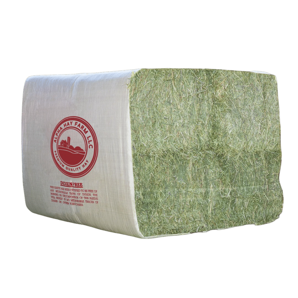 Buy Premium Alpha Hay Farm Mag Bale Alfalfa Hay Bale - 850 lb for sale