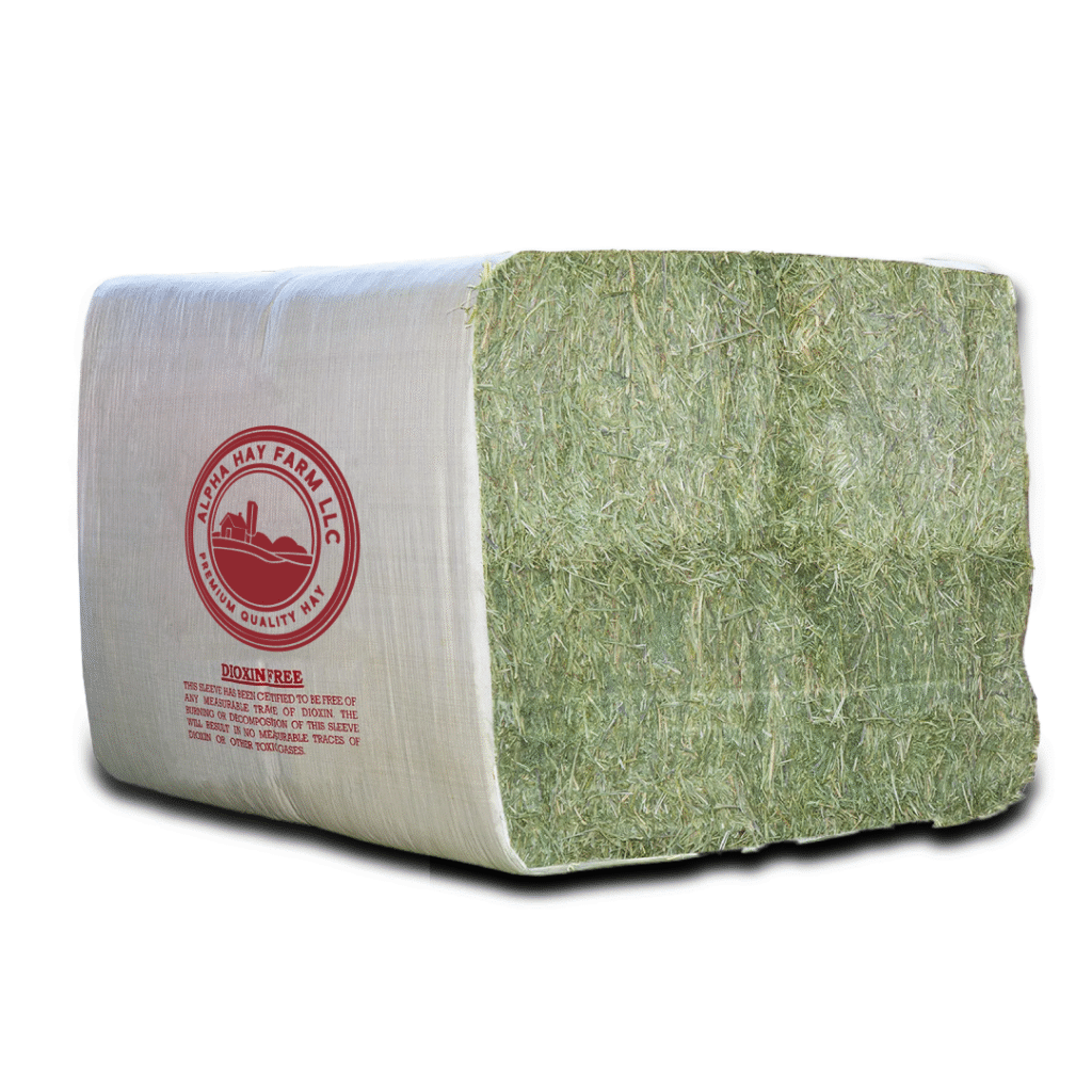 Buy Premium Mag Bale Alfalfa Hay Bale - 850 lb for sale