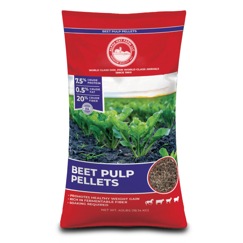 40 LB BAG OF ALPHA BEET PULP PELLETS for sale near me