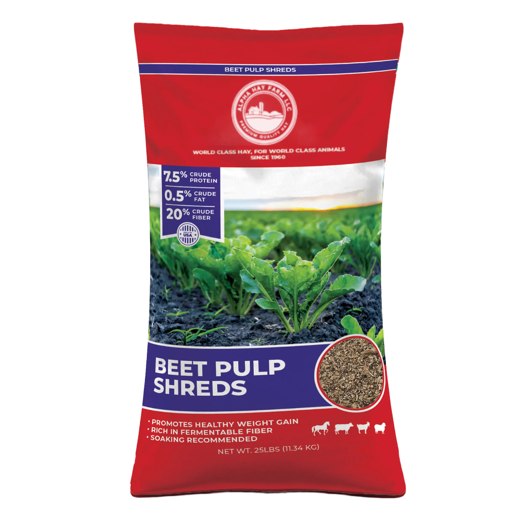 buy beet pulp premium bagged shreds online