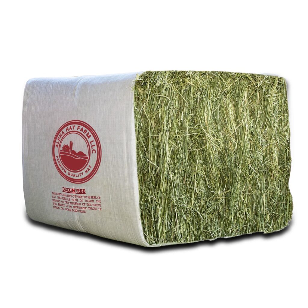 BUY 850 lb Mag Bale of Alpha Timothy Hay NEAR ME