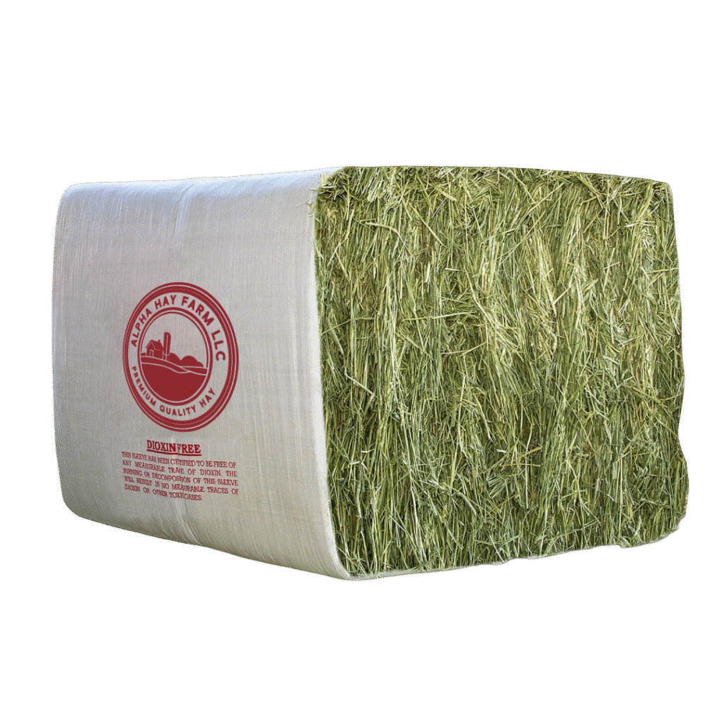 Buy Premium Alpha Hay Farm Mag Bale of Timothy Hay - 850 lb for sale