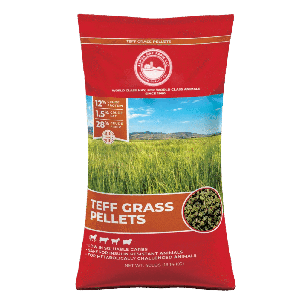 Buy Alpha Hay Farm Teff Grass Pellets 40 LB Bagged forage for sale