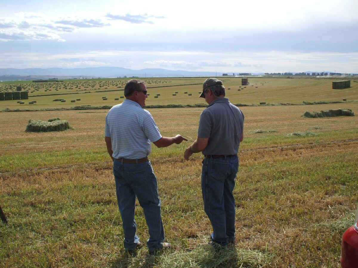 Alpha hay farm serving the hay farming community
