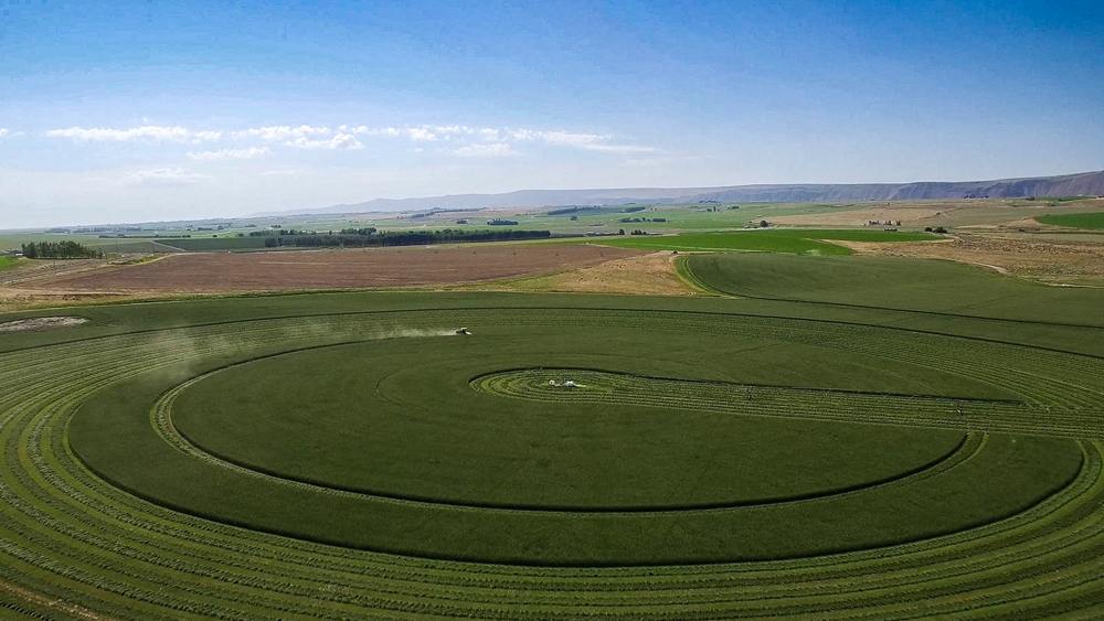 Alpha Hay Farm Farming Services