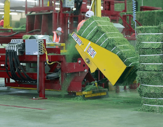 International production practices